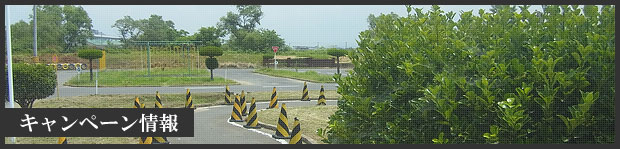 キャンペーン情報